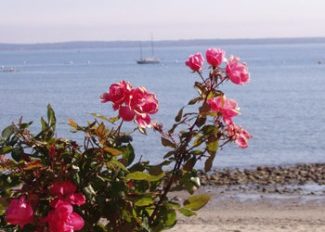 Lincolnville Beach