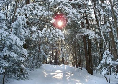 winter in Oakland, Maine