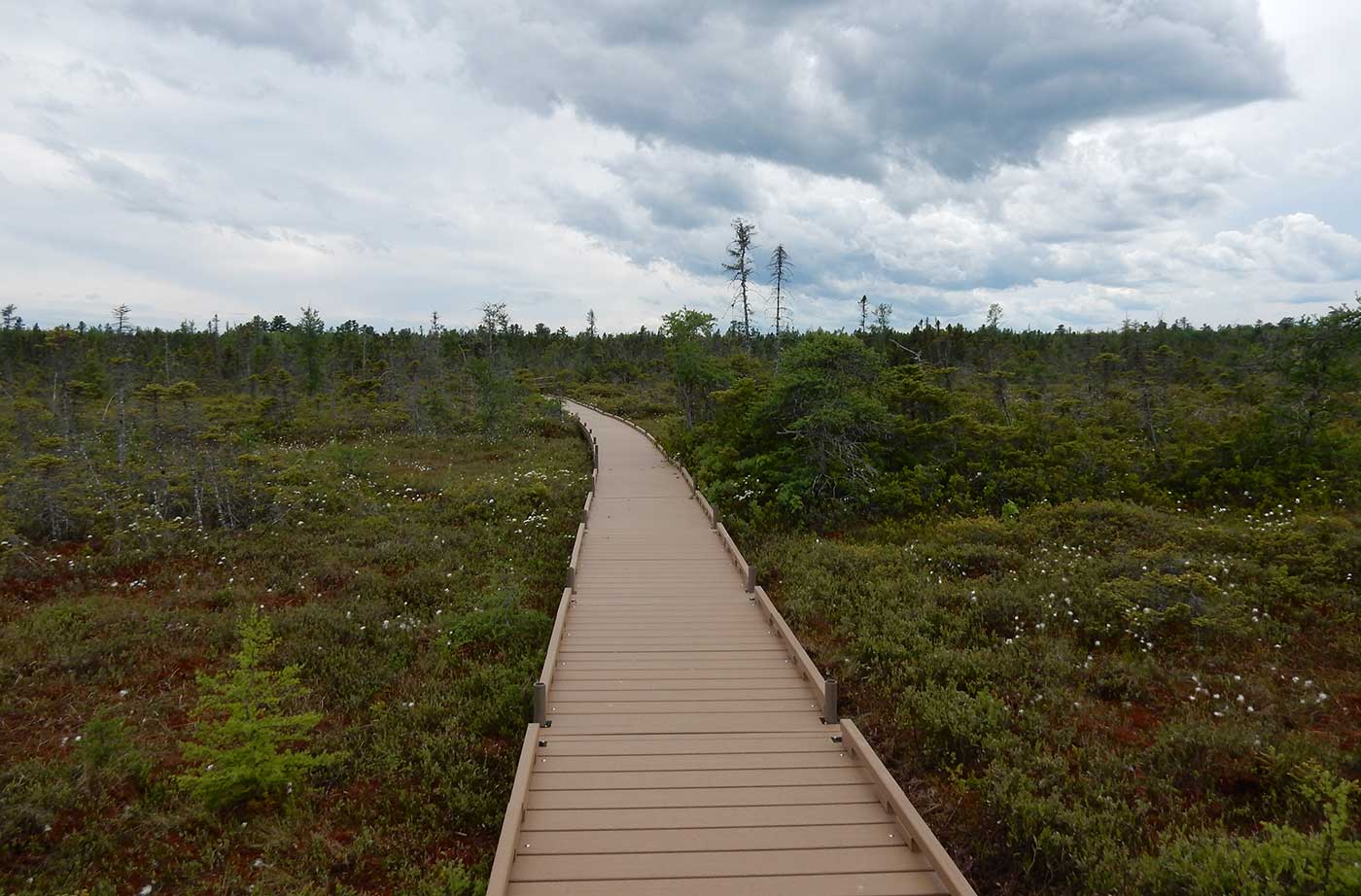 Orono bogwalk