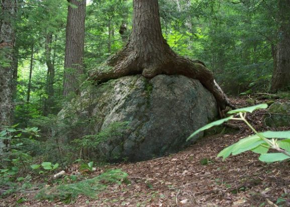 Grafton Notch State Park