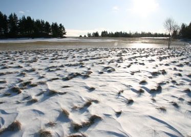 snow on North Haven