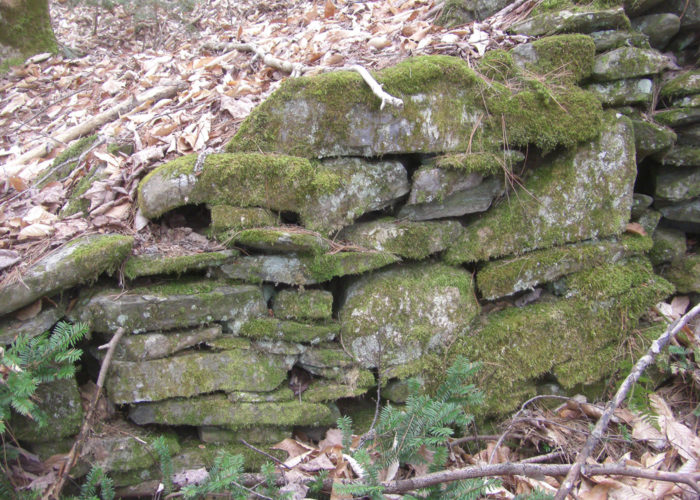 Ancient foundation