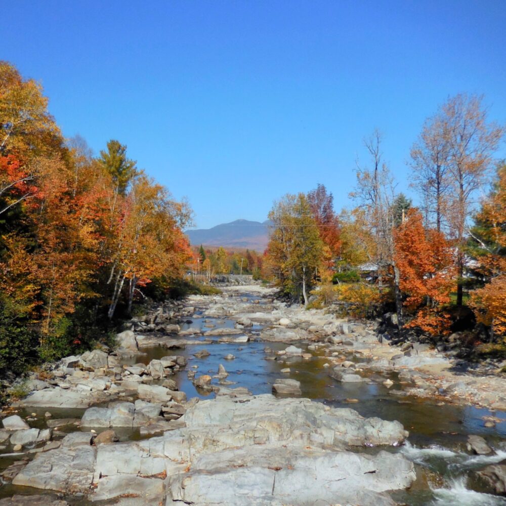 Carrabassett River