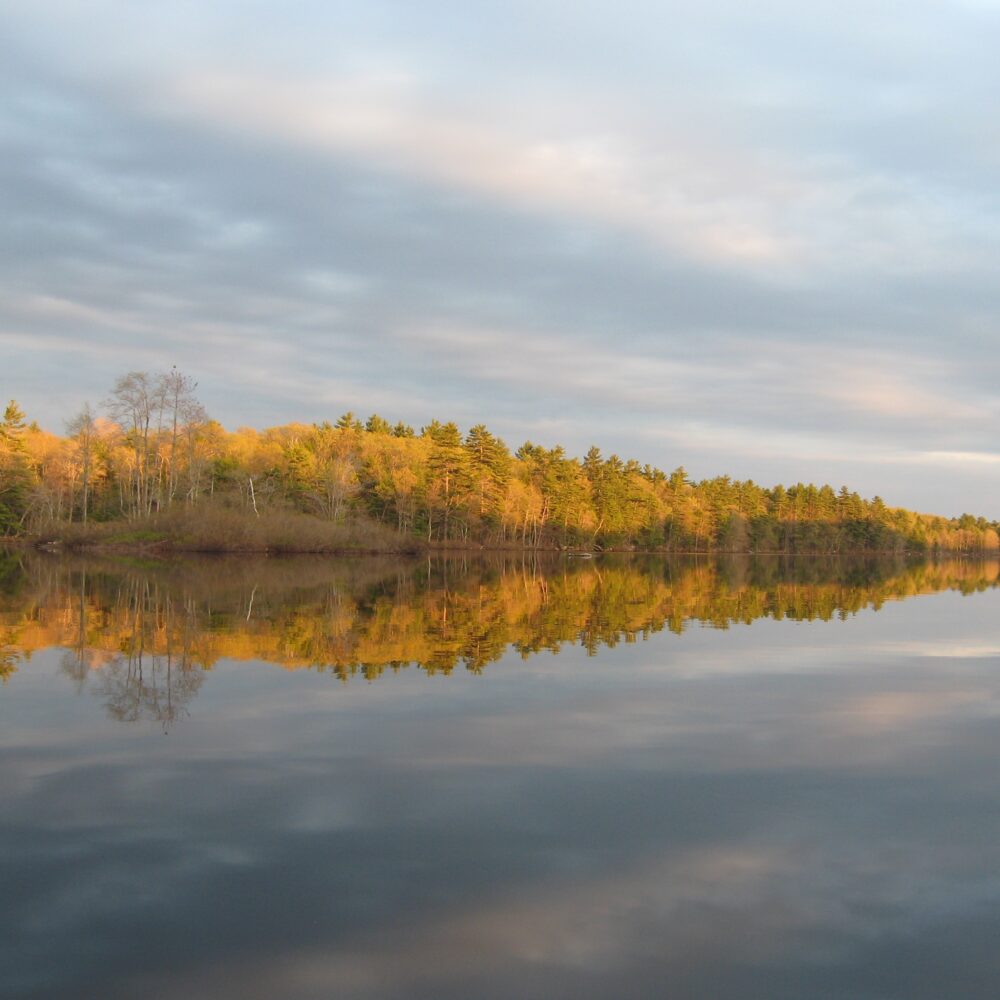 Dyer Long Pond