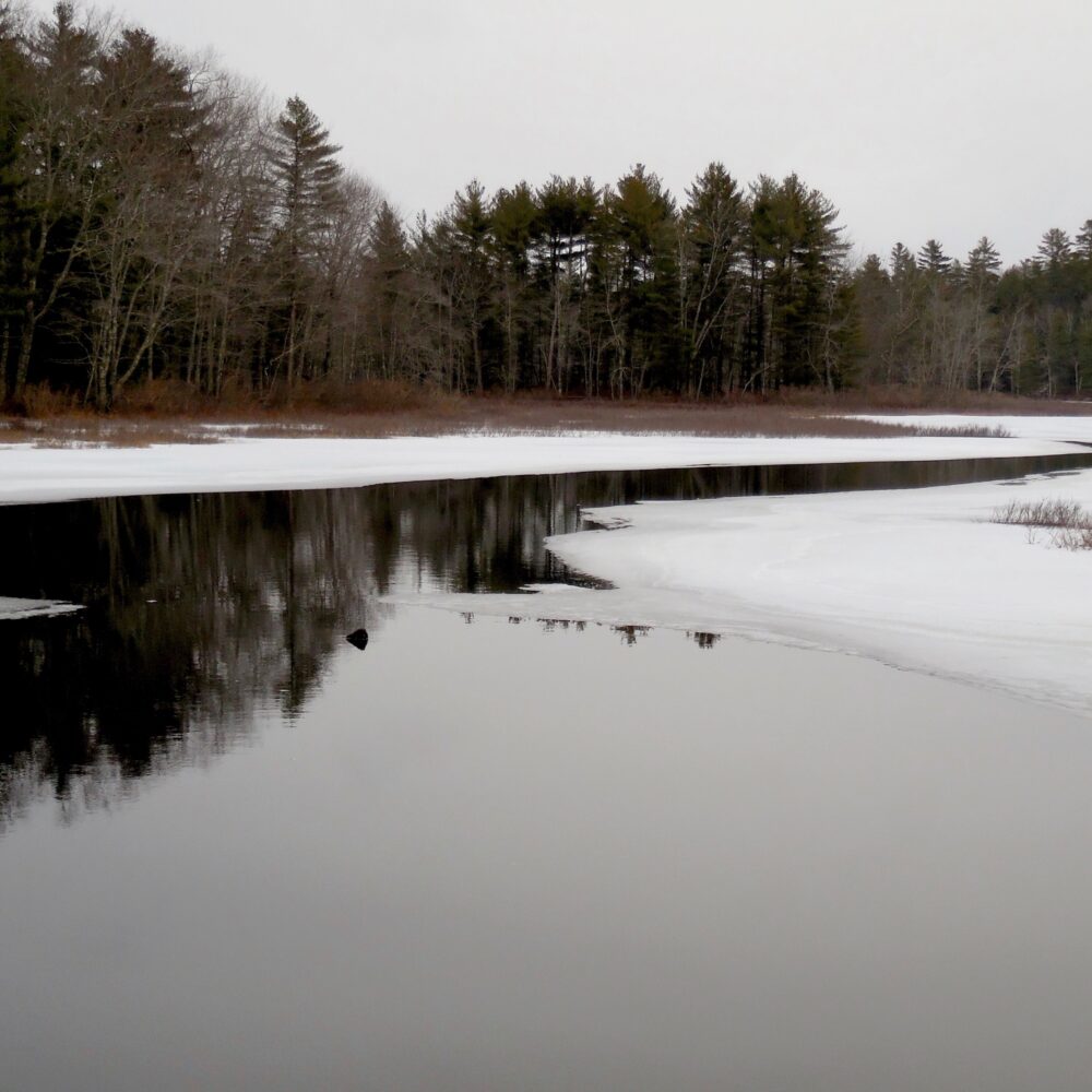 Dyer Long Pond