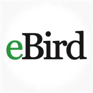 ebird app