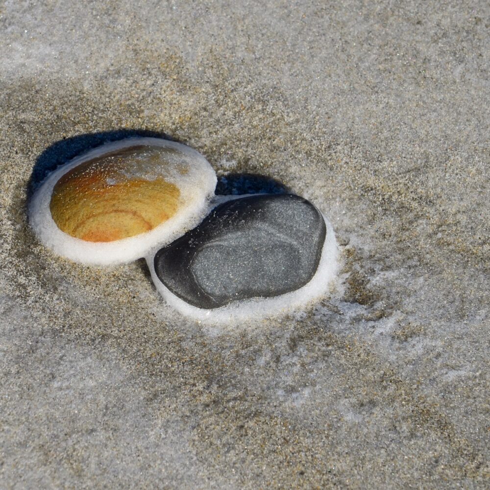 Willard Beach rocks