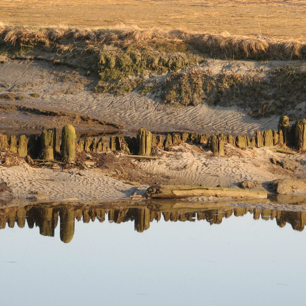 low tide Scarborough Marsh