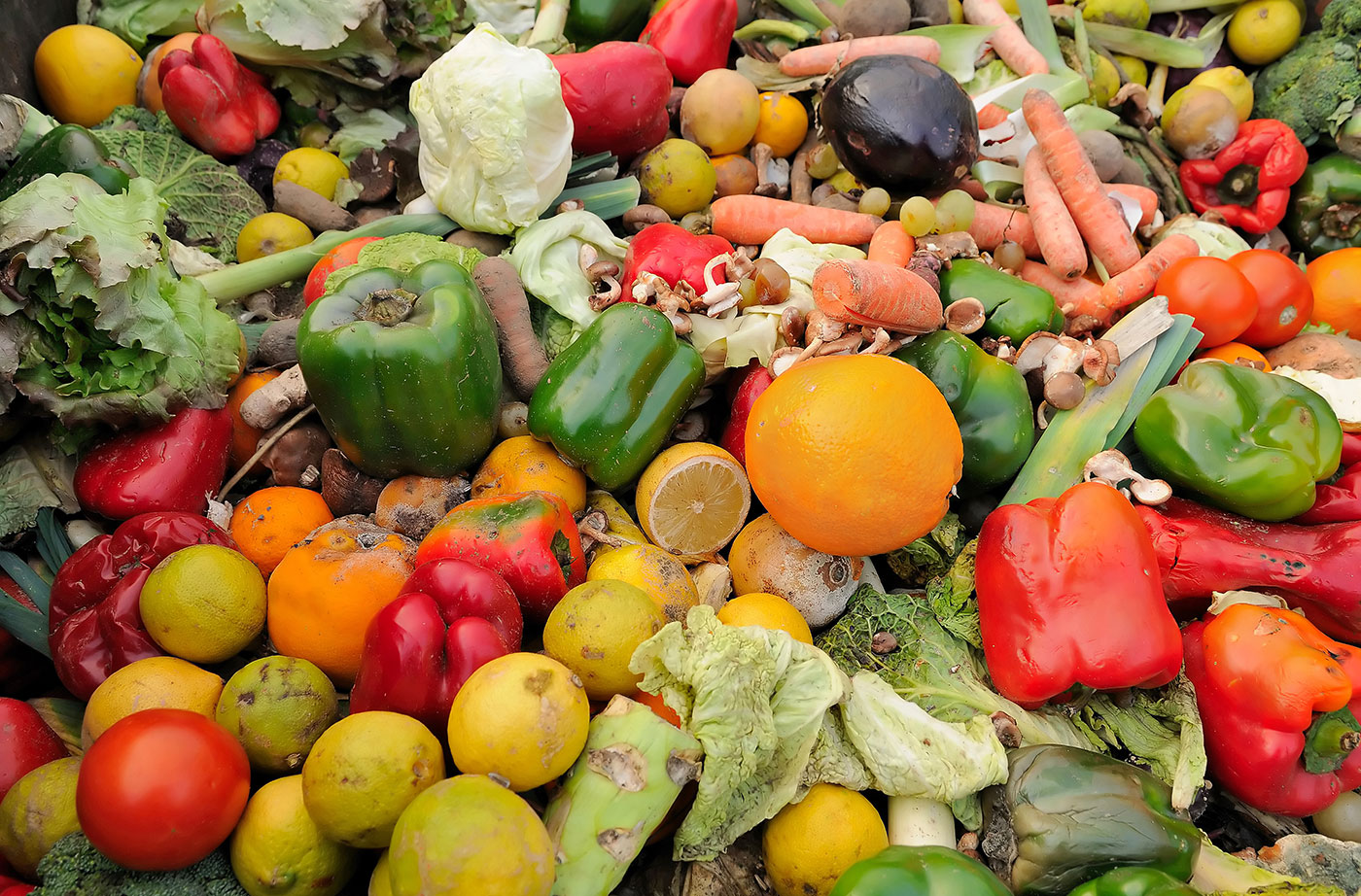 food waste in maine