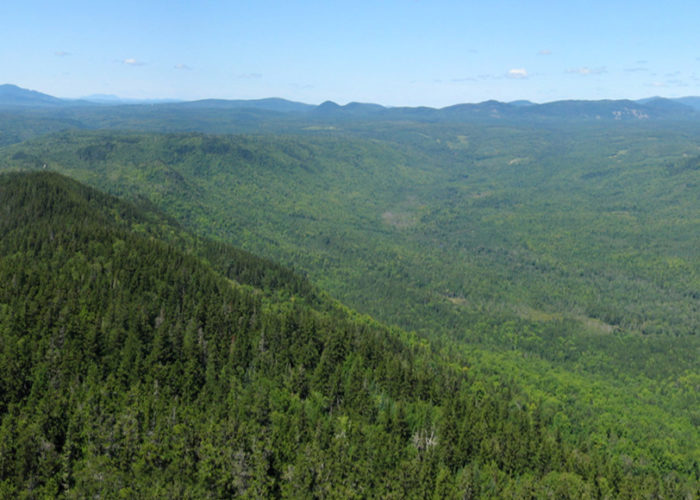 Borestone Mountain