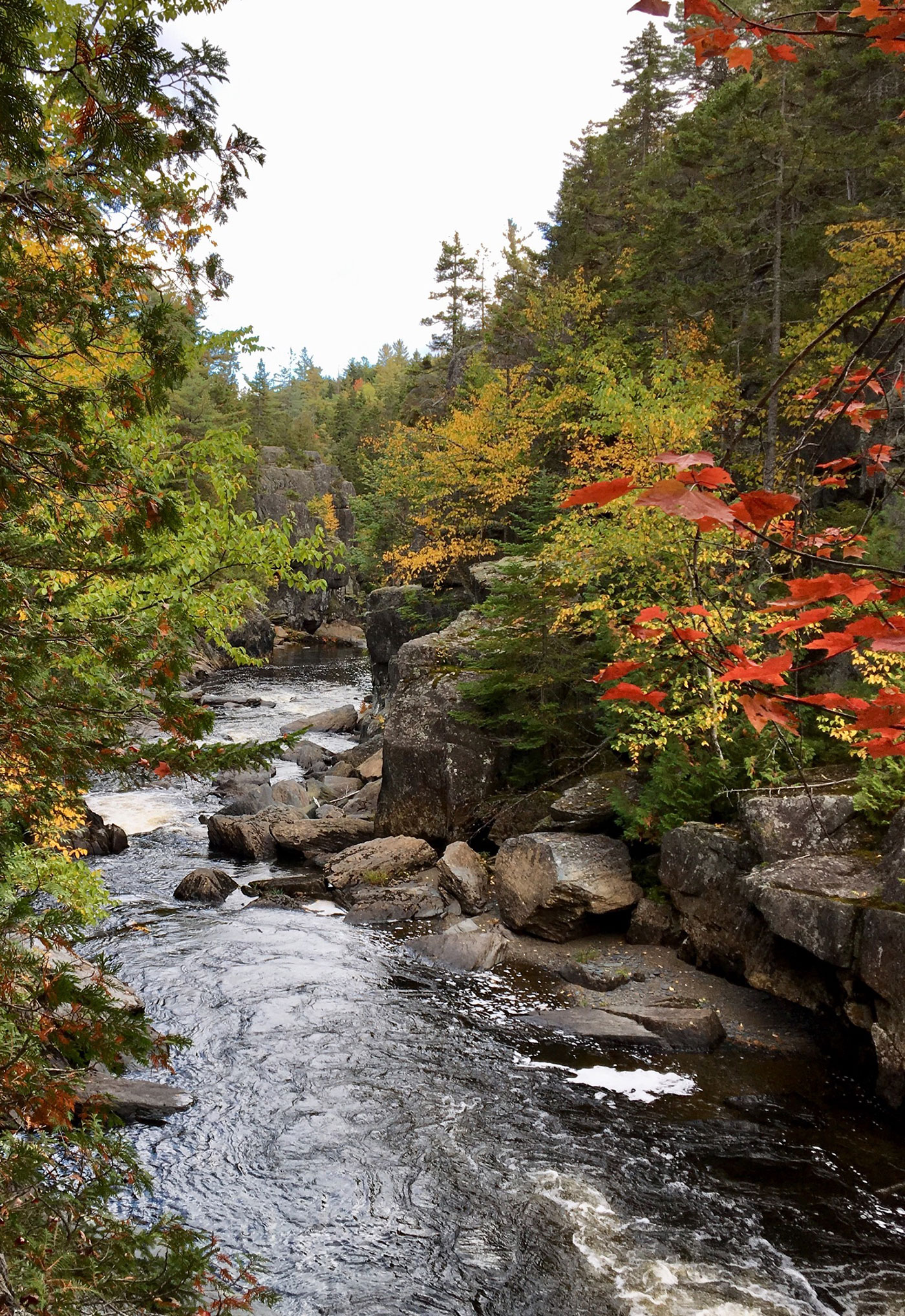 Billings Falls