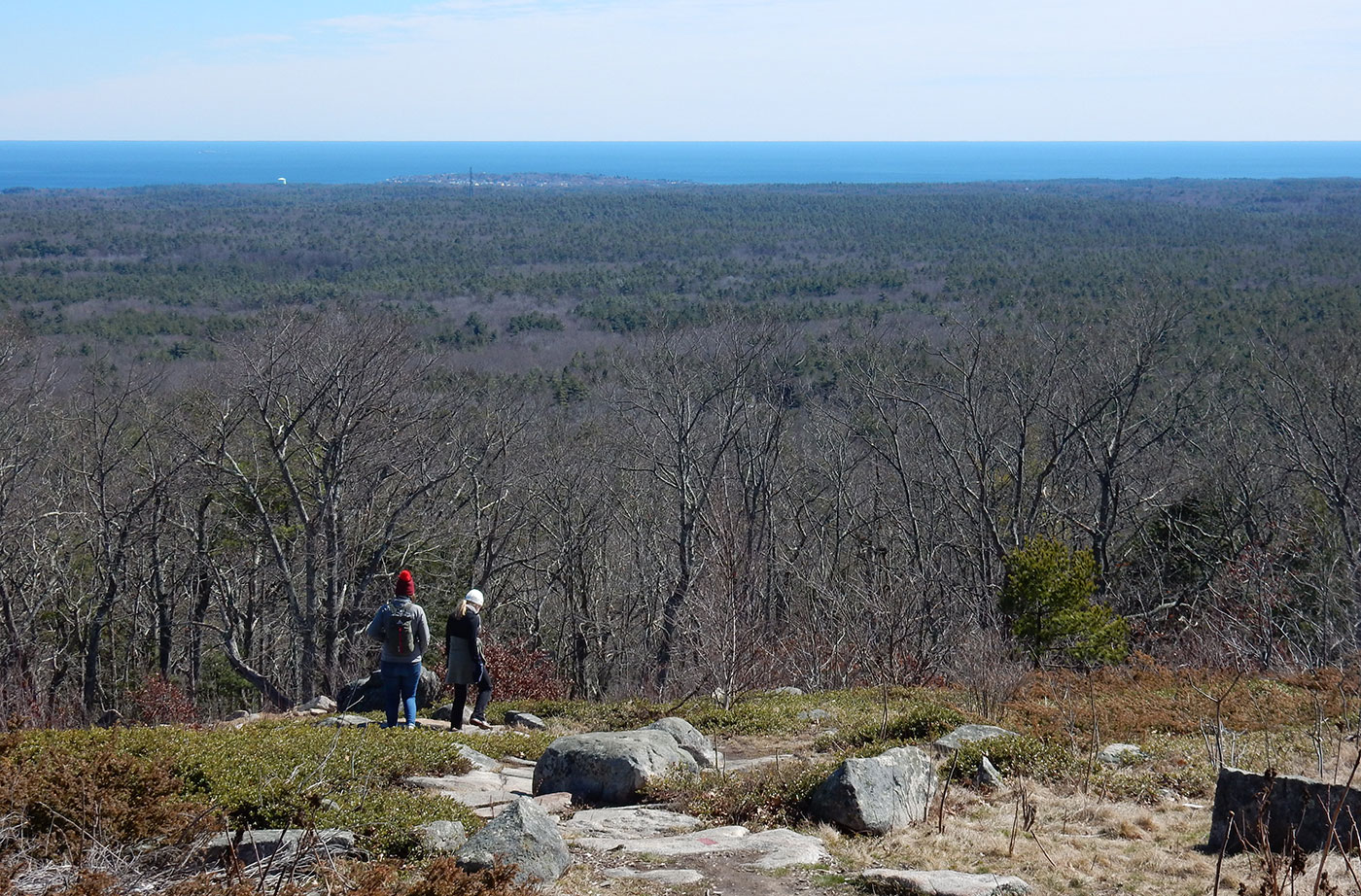 Mt Agamenticus