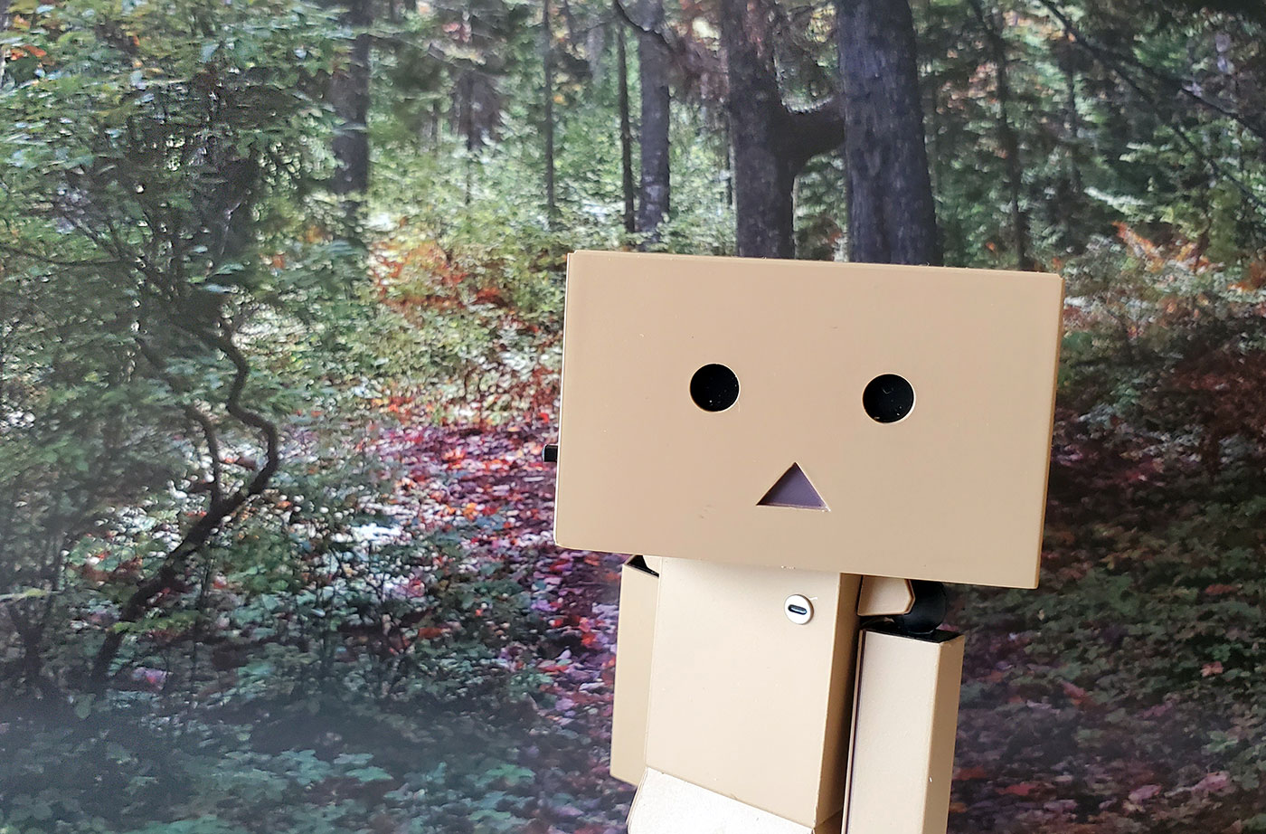 Interview with Boxy McBoxface