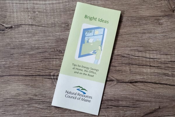 bright-ideas-brochure-web Person caulking window on Bright Ideas pamphlet