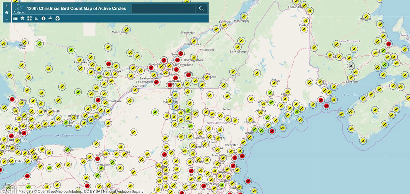 Christmas Bird Counts in Maine