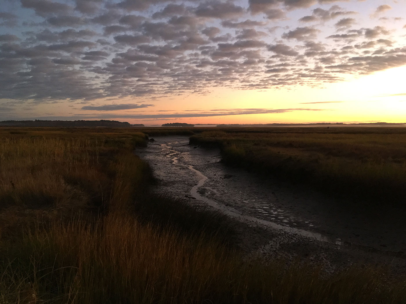 Scarborough Marsh