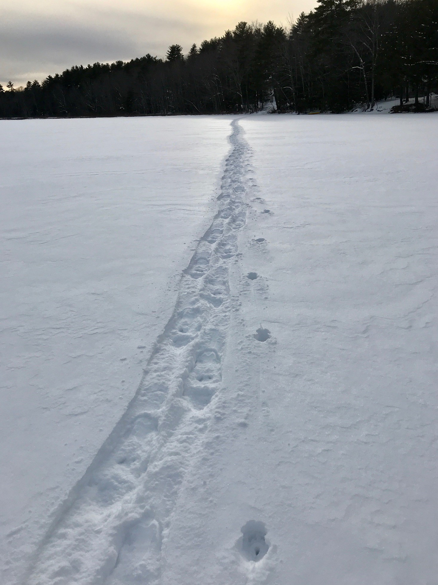 snowshoe tracks across Dyer Long Pond