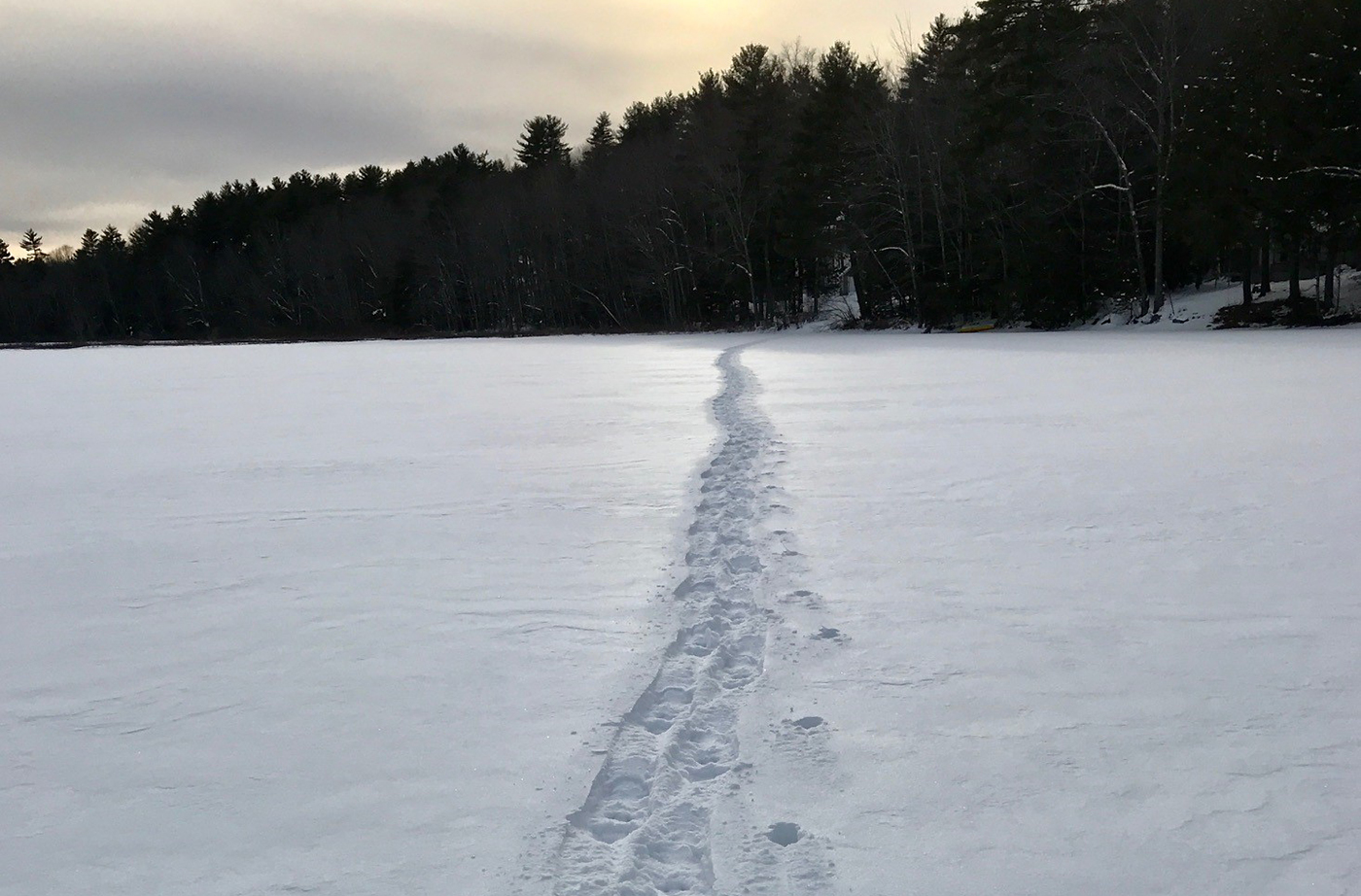 snowshoe tracks across Dyer Long Pond