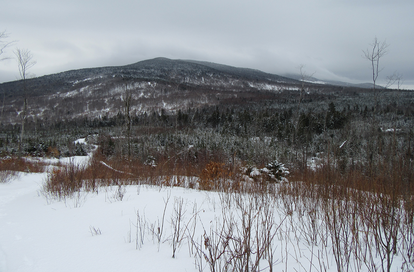 Hedgehog Hill in winter