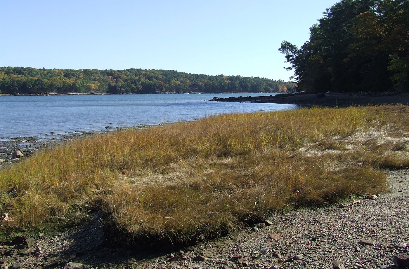 Dodge Point landscape