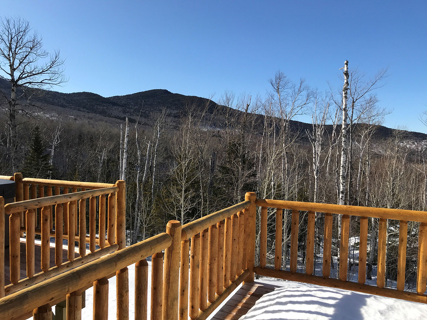 Kingfield view from deck by Jacqui Clark