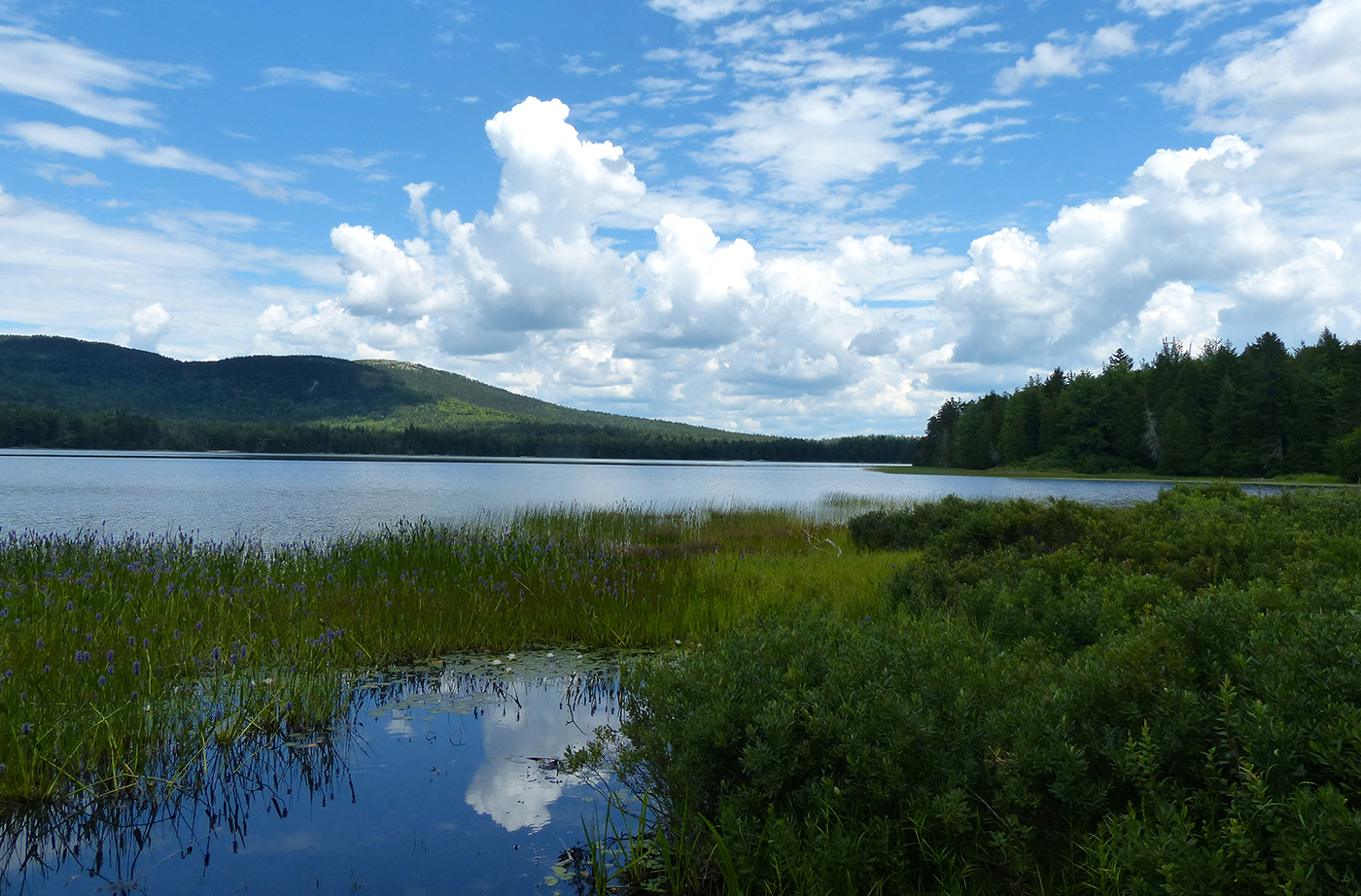 Little Tunk Pond