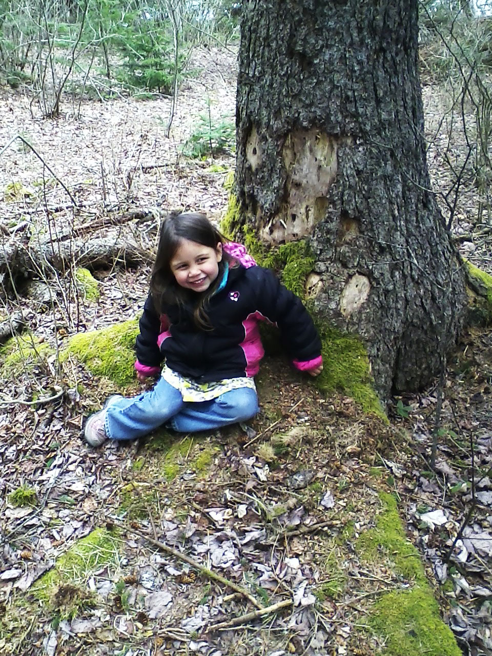 girl sitting in front of tree in Maine forest