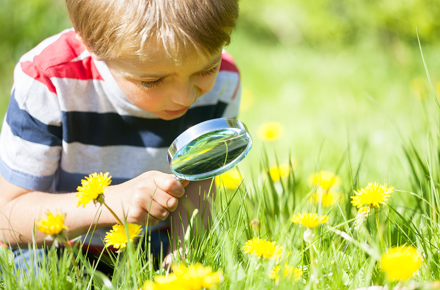 8 Great Kids' Distance Learning Nature Resources Maine Organizations