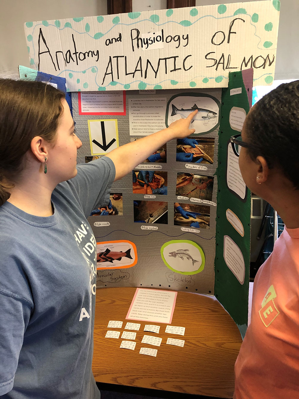 students studying salmon