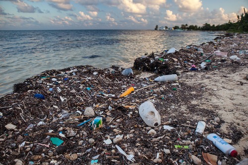 plastic trash on beach