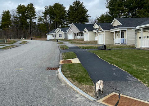 walking dog on sidewalk