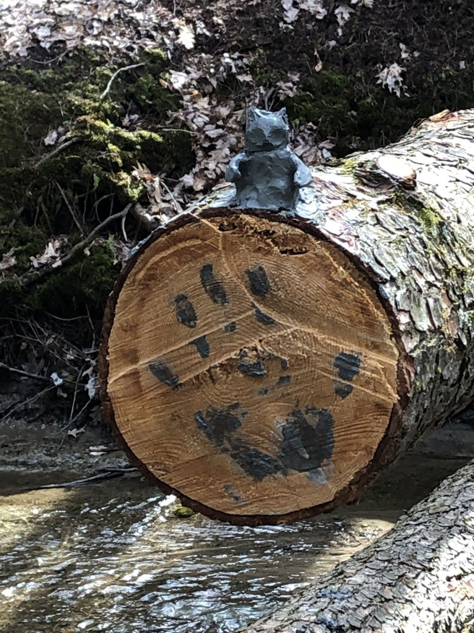 CLay owl on log