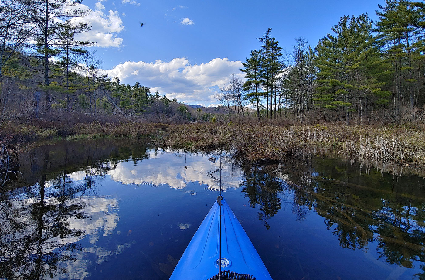 Moose Pond Denmark