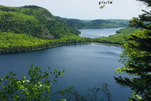 Deboullie Ecological Reserve