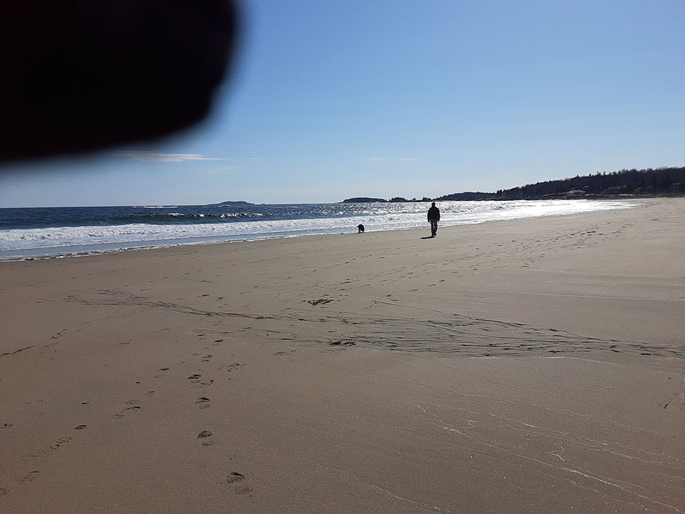 man and dog walking on beach