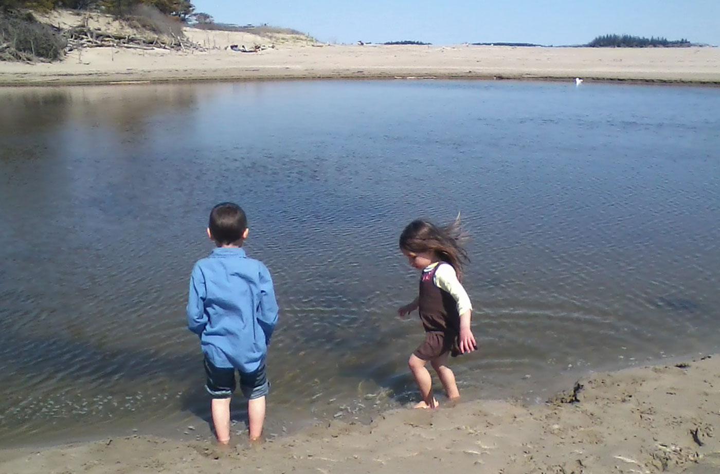 children playing in water on Maine coastline