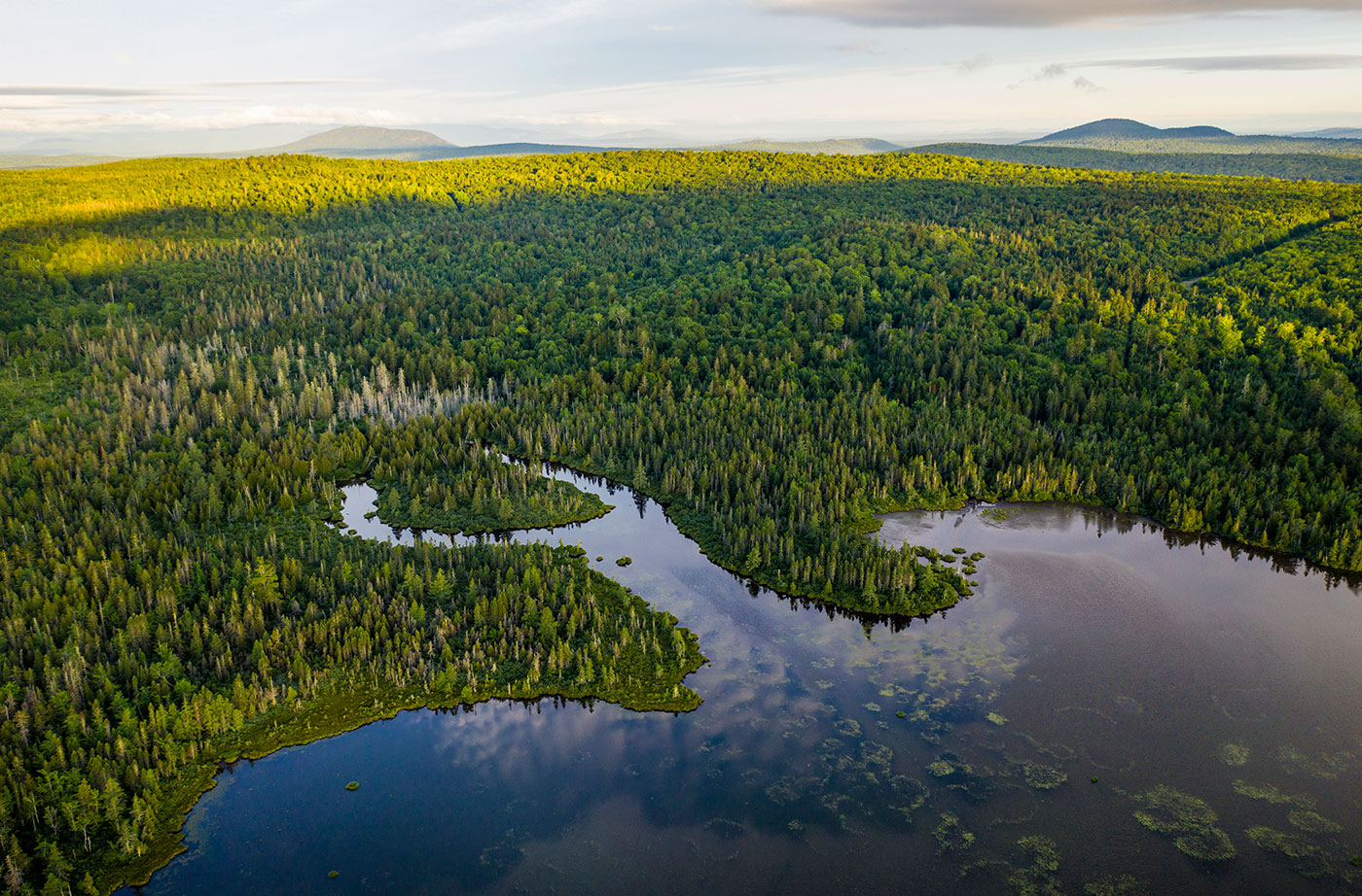 Pickett Mountain Pond aerial pic