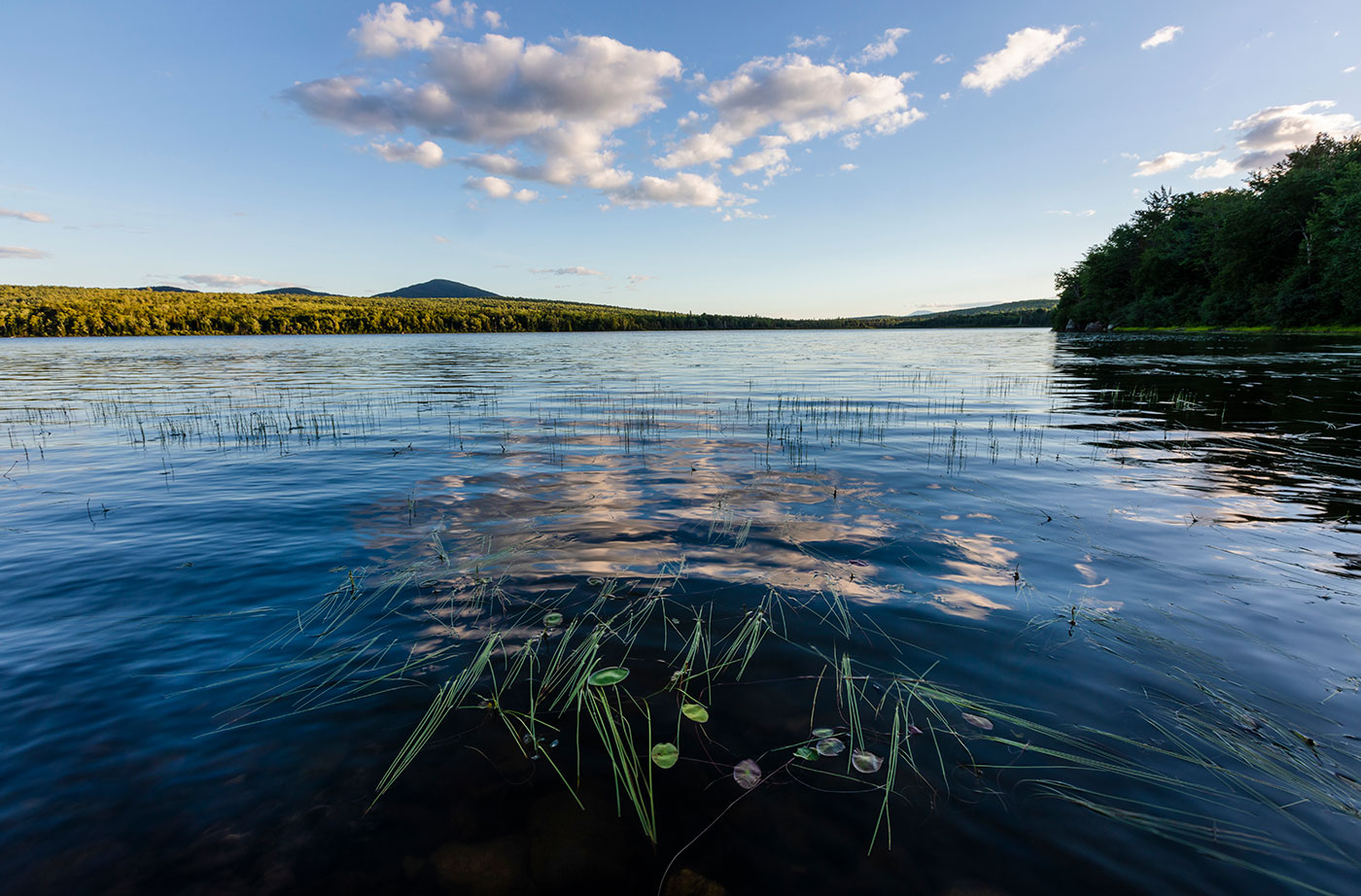 Pleasant Lake