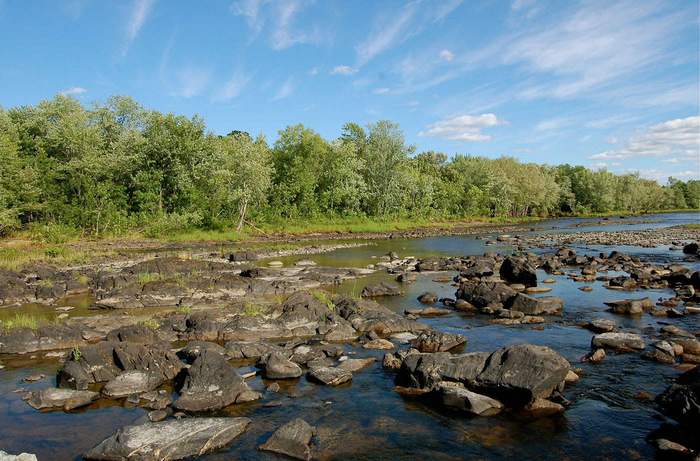 Penobscot River after dam removal