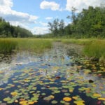 pond in Embden