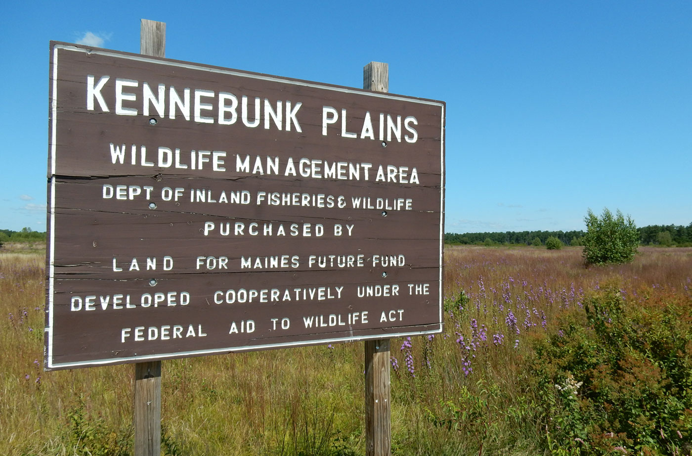 Kennebunk Plains