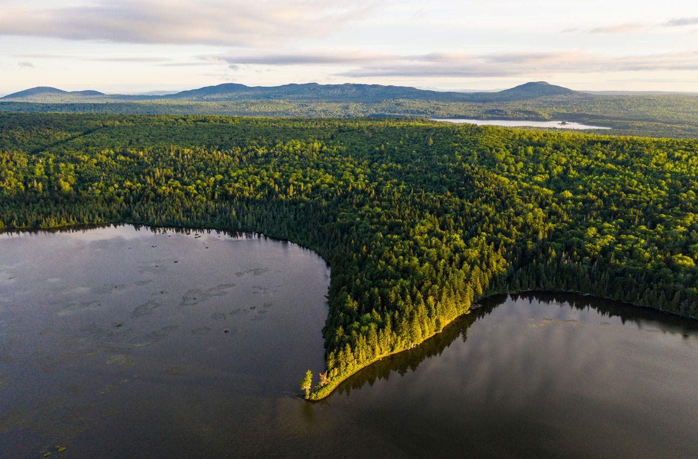 Pickett Mountain Pond