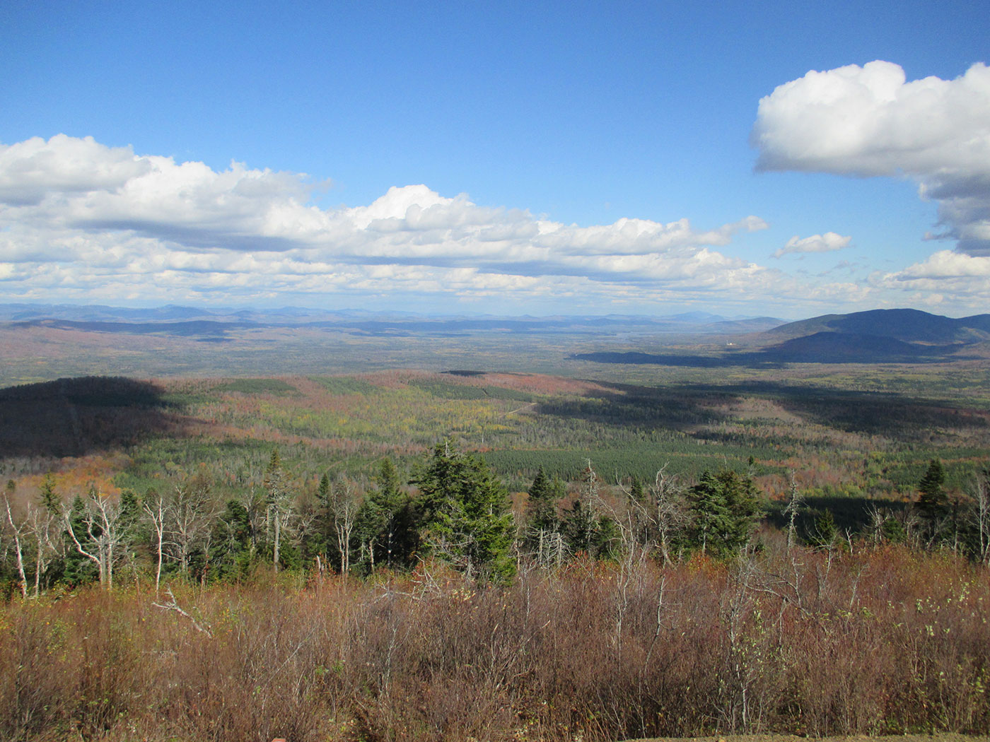 Rangeley fall colors