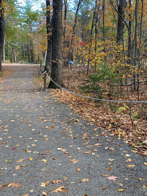 Guide ropes on Hirundo trail