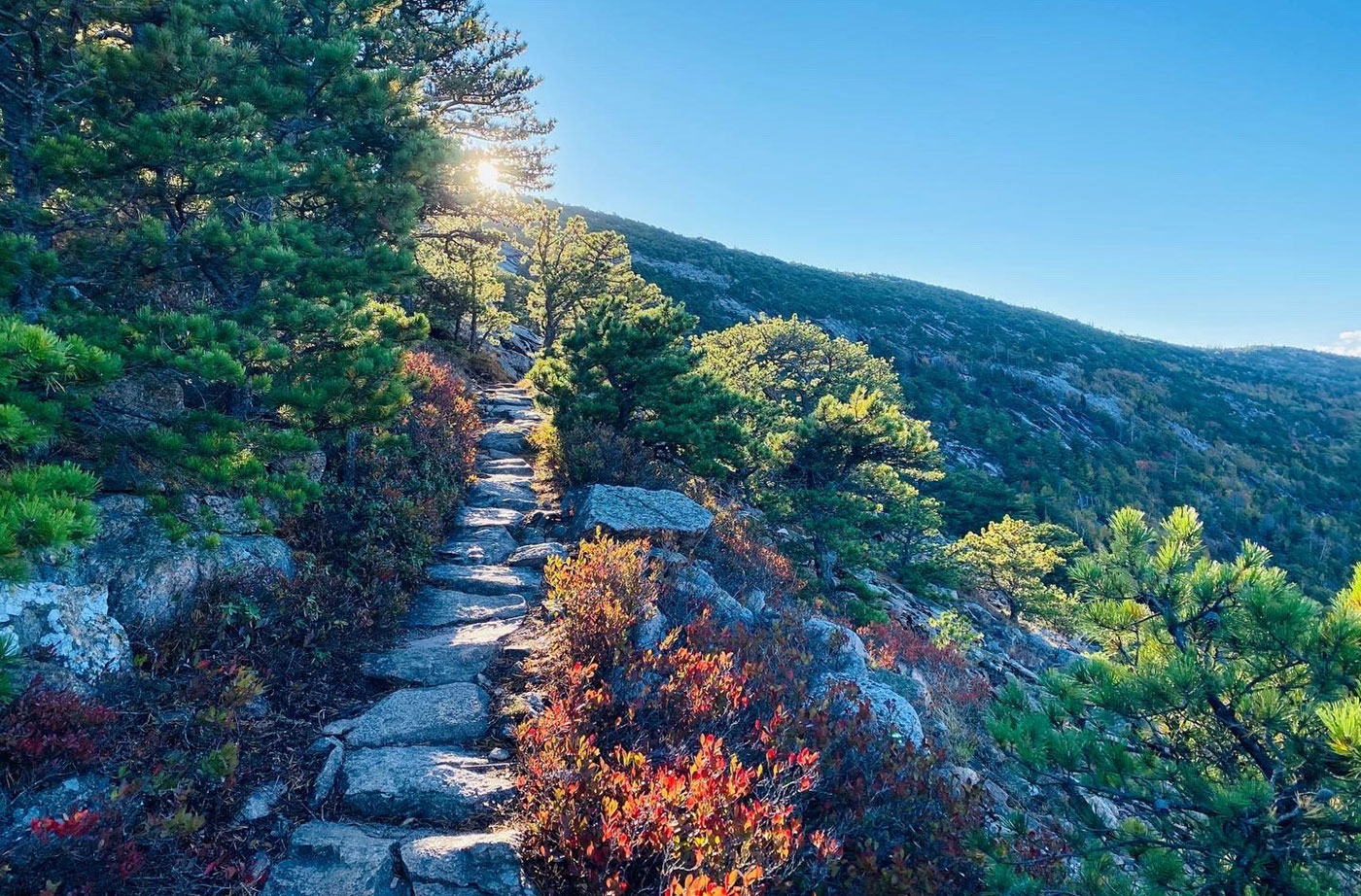 Acadia by Tom Kitteredge