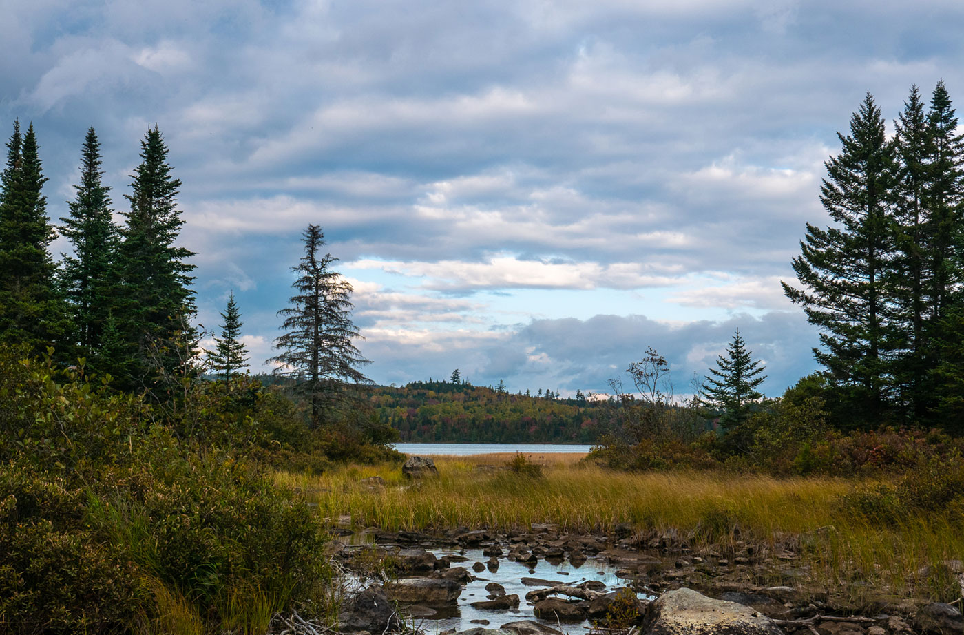 Gold Brook by Sam Steele