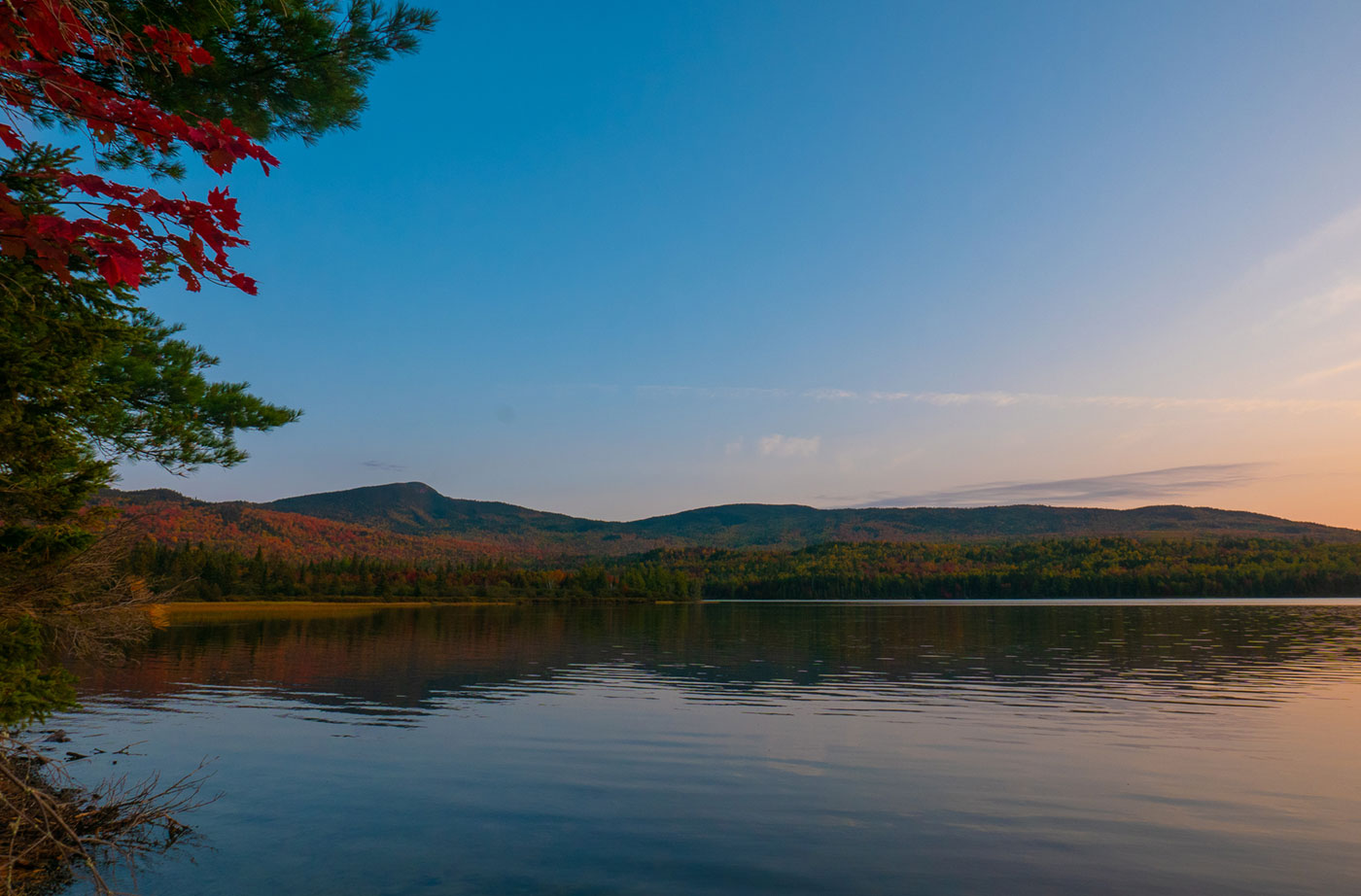 Rock Pond by Sam Steele