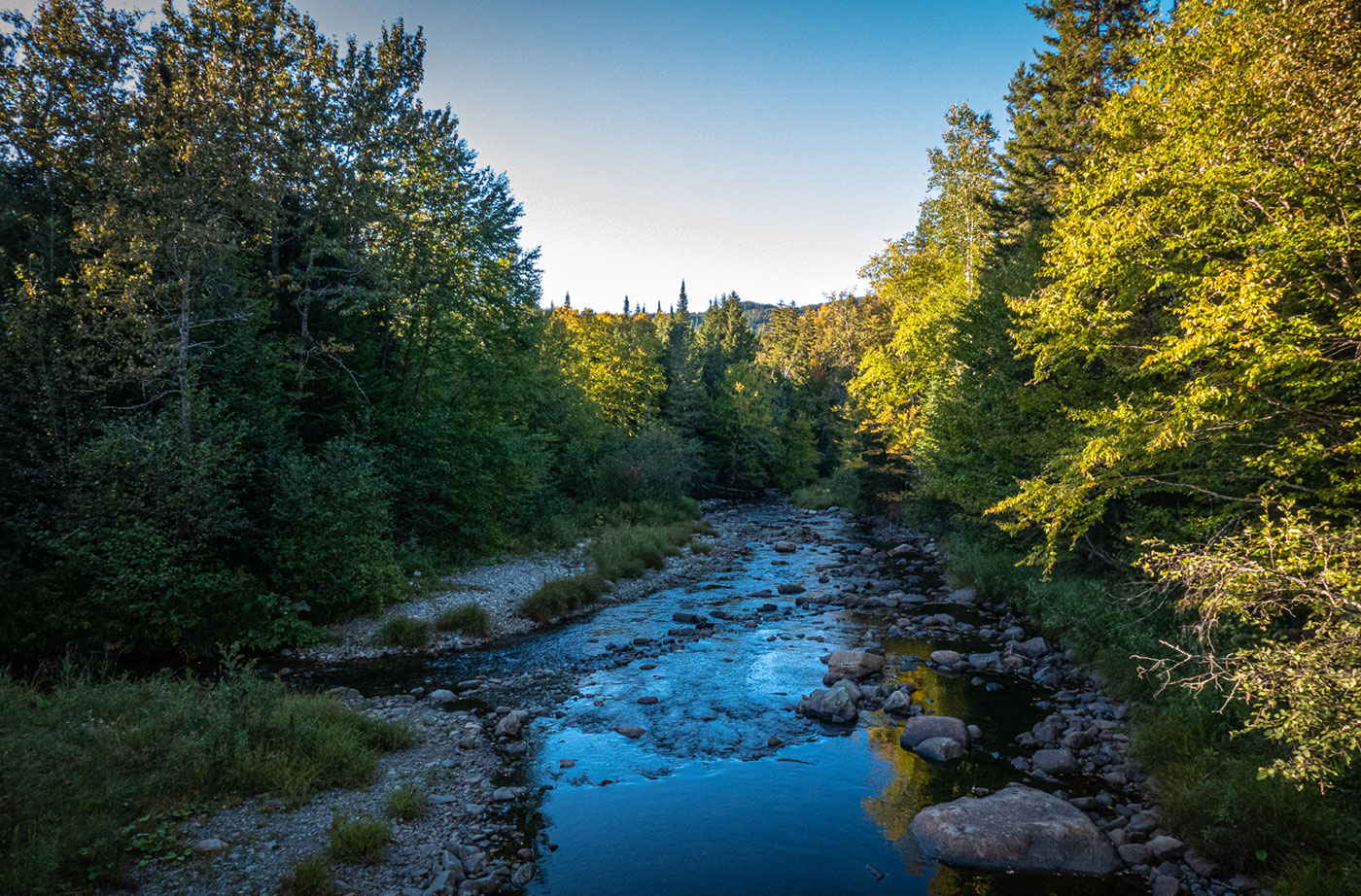 South Branch Moose River Sam Steele