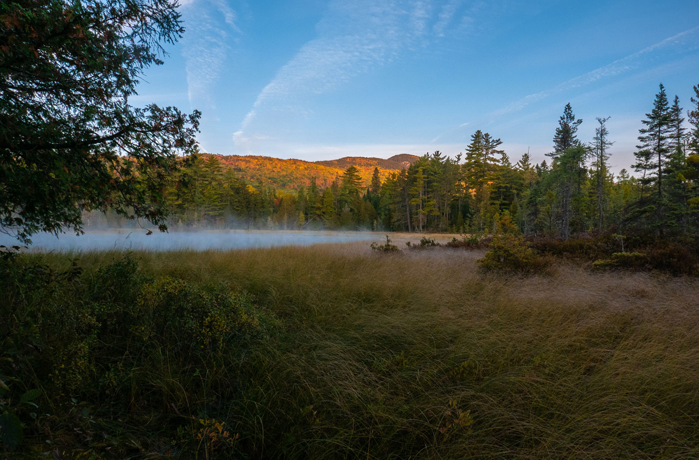 Pond near CMP corridor by Sam Steele