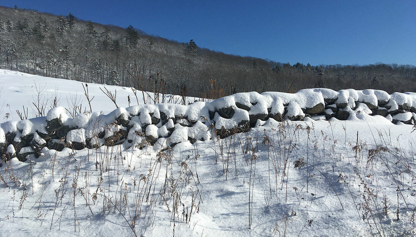 snow in field in Hope